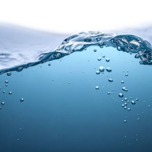 Meet your Posher, Demure